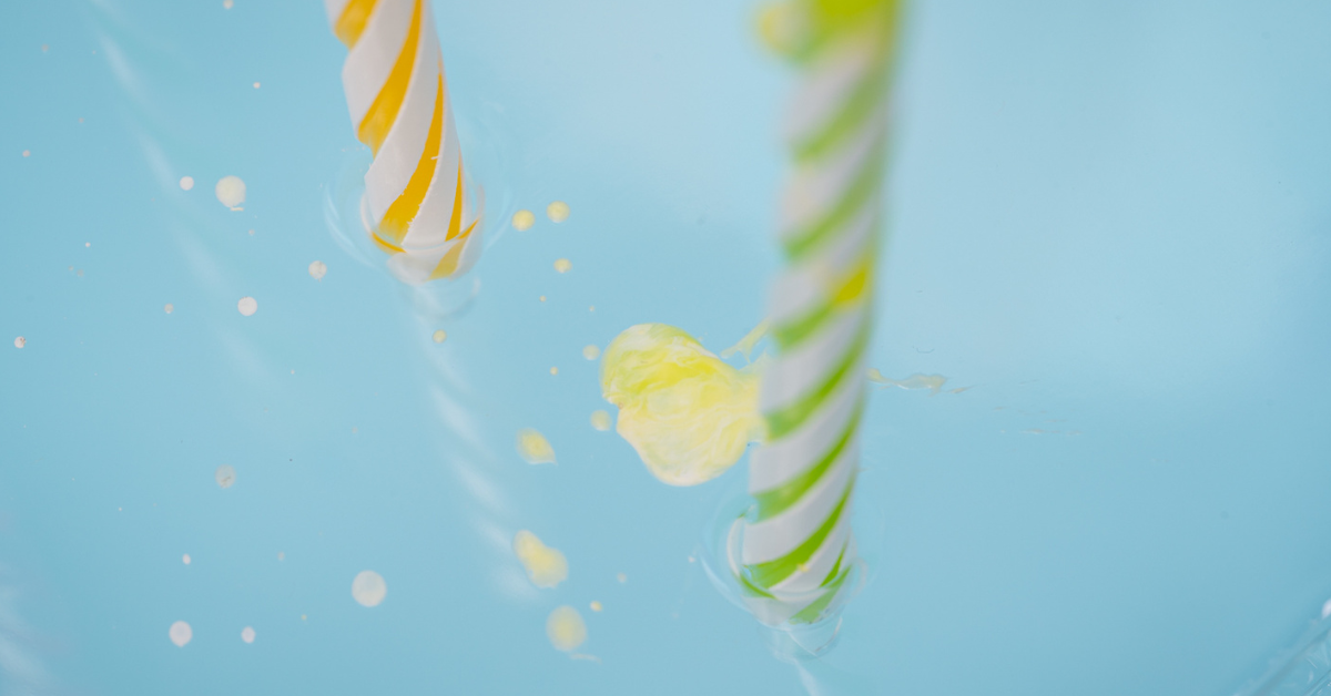 Party Savior: The Cake Shield Solution You Never Knew You Needed