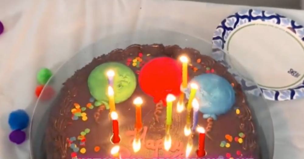Why Party Savior’s Cake Cover Is a Game Changer for Every Celebration