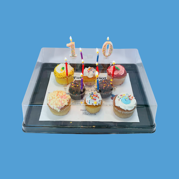 Party Savior Rectangular Cake Cover