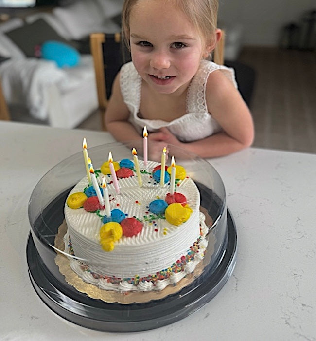 Party Savior Round Cake Cover